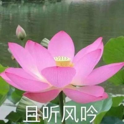 11版政治 - 本版责编：季健明许丹旸何昭宇